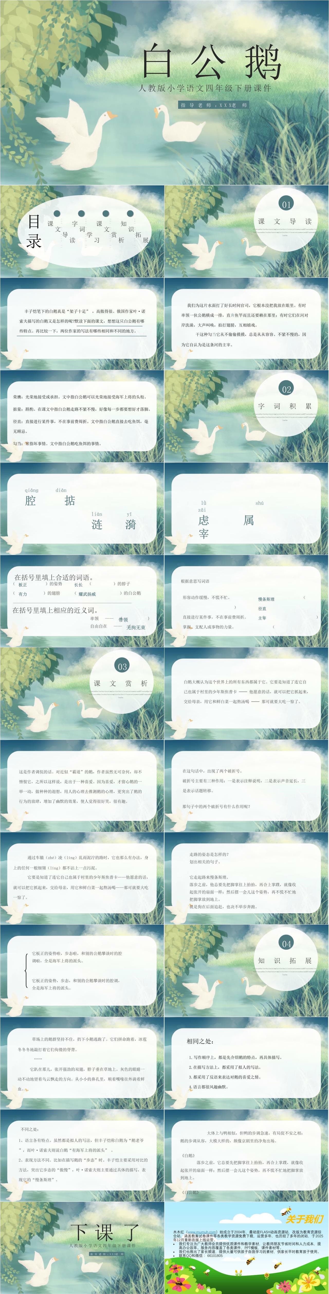 129-人教版四年级-白公鹅1.jpg