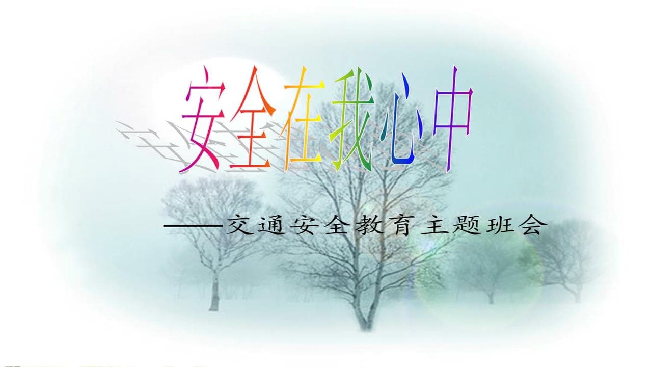 安全在我心中主题班会