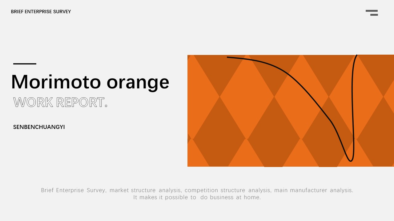 爱马仕橙 (2).jpg