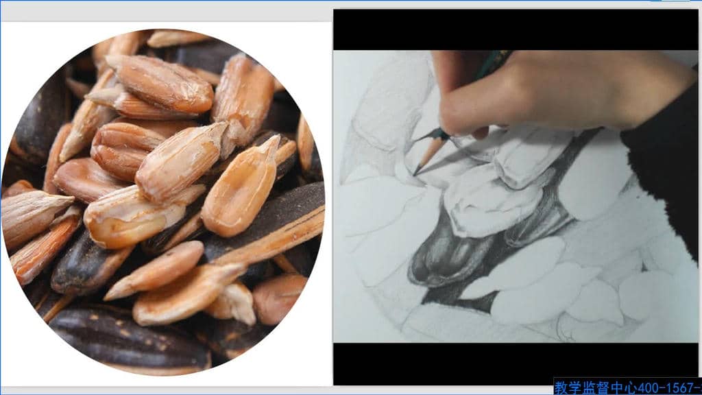 第30课 瓜子2.wmv.jpg