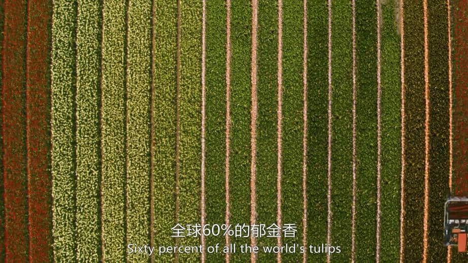 第3集:色彩缤纷的地球.mp4.jpg