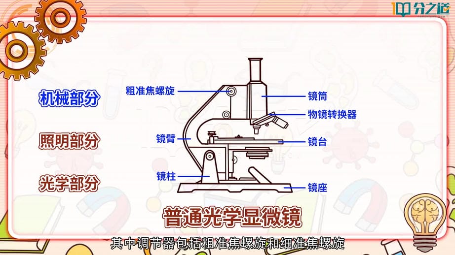 2 怎样放得更大.mp4jpg.jpg